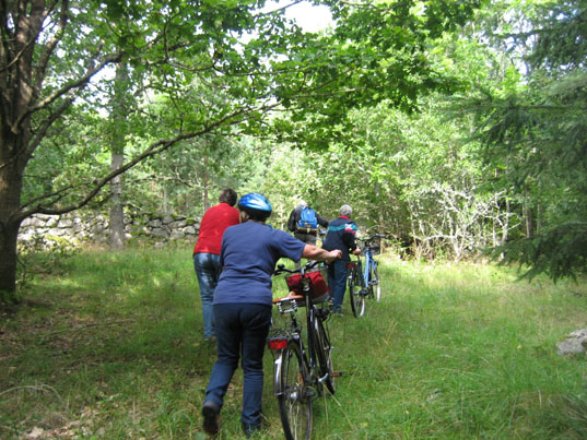 Cykeltur vid Ryttarehagen