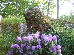 Minne efter stormen Gudrun i Landeryds Hembygdspark