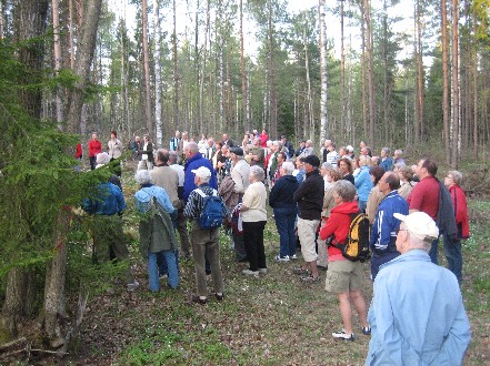 vandring i skogen runt hembygdsparken